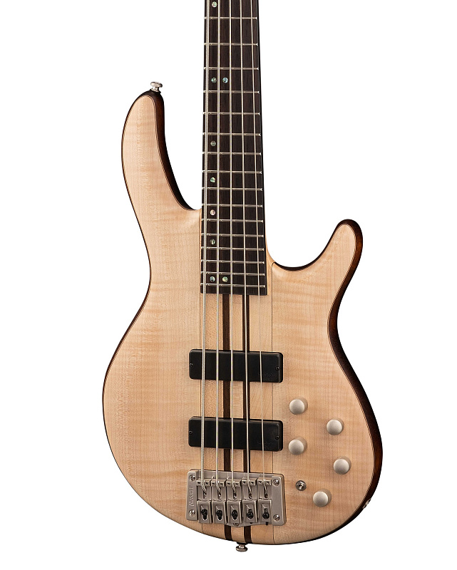 Фото Бас-гитара Cort A5-Plus-FMMH-OPN Artisan Series 