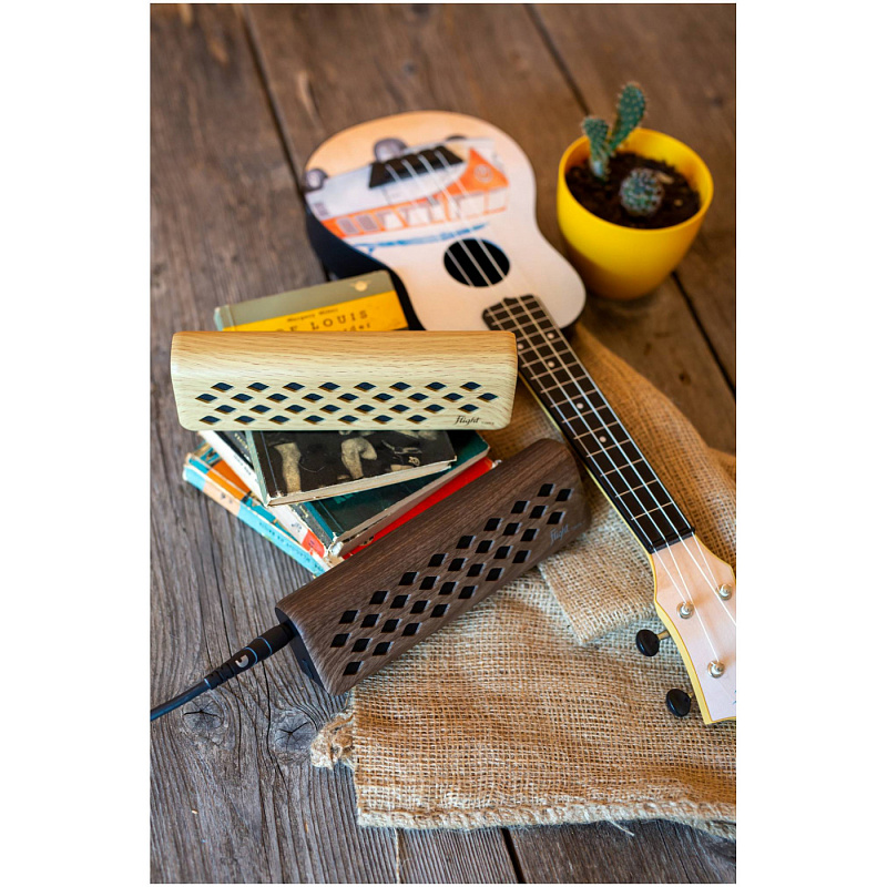 Фото FLIGHT Tiny 6 Maple - Комбоусилитель для укулеле Флайт