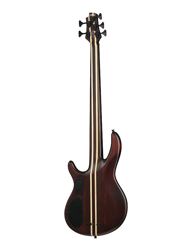 Фото Бас-гитара Cort A5-Ultra-Ash-WCASE-ENB Artisan Series