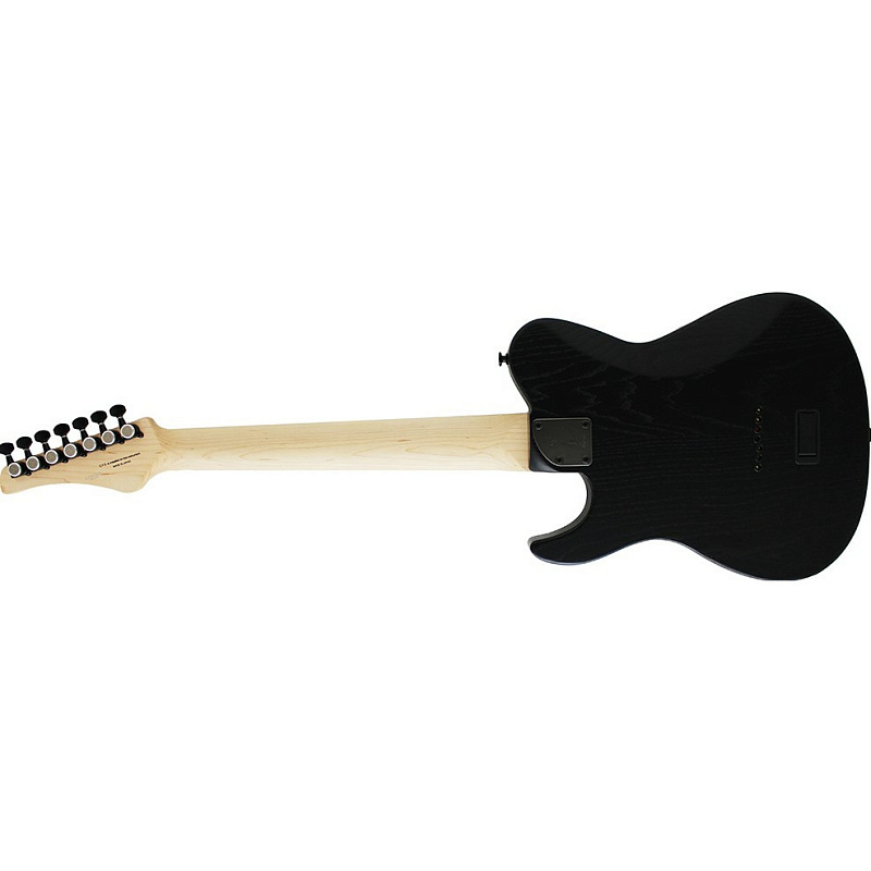 Фото Электрогитара FGN Iliad Dark Evolution JIL72ASHDEG OPB