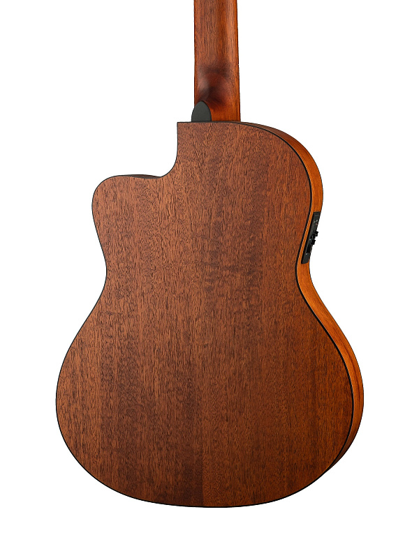 Фото Электро-акустическая Parkwood PC110-WBAG-OP