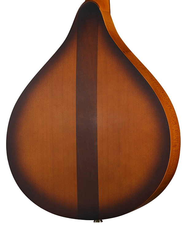 Фото P8 Мандолина португальская, Doff